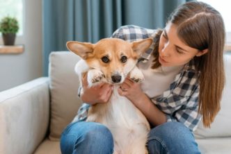 clínica veterinaria La Granja